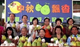 台南麻豆,历史悠久的古都风情与现代农业魅力