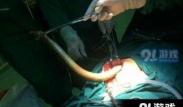 91直播com,揭秘热门直播平台的魅力与挑战